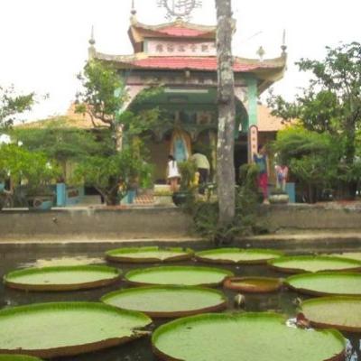 \"TÌNH ĐẤT + TÌNH HOA \" LÀNG HOA SADEC