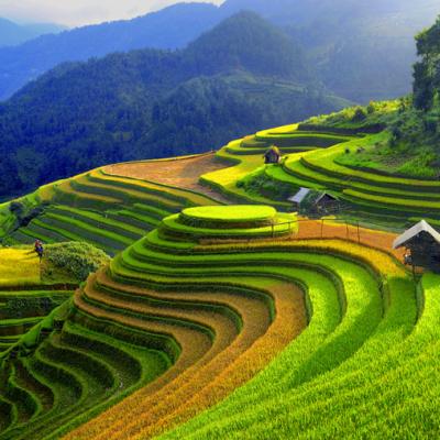 MÙ CANG CHẢI 3 NGÀY
