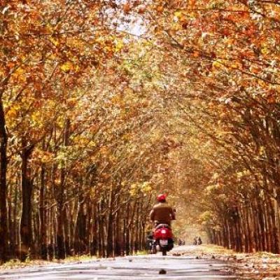 8 trải nghiệm hấp dẫn chỉ có ở Tây Nguyên